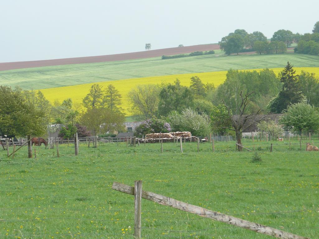 Ferienhaus Kruk Hergarten ภายนอก รูปภาพ